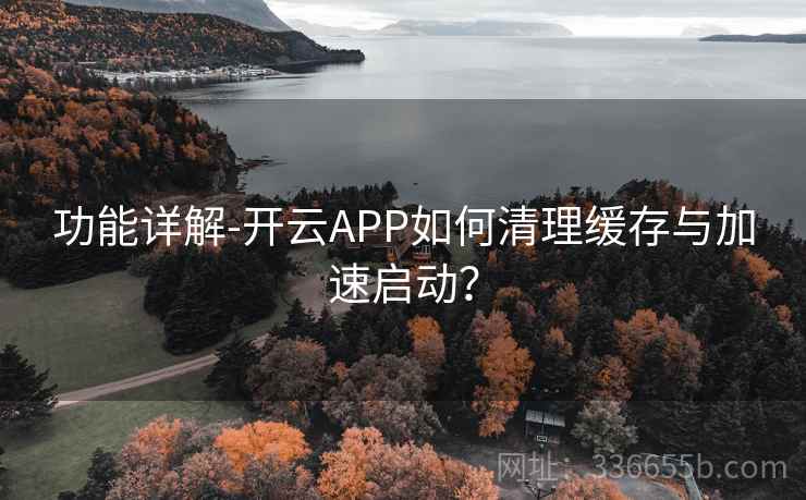 功能详解-开云APP如何清理缓存与加速启动？