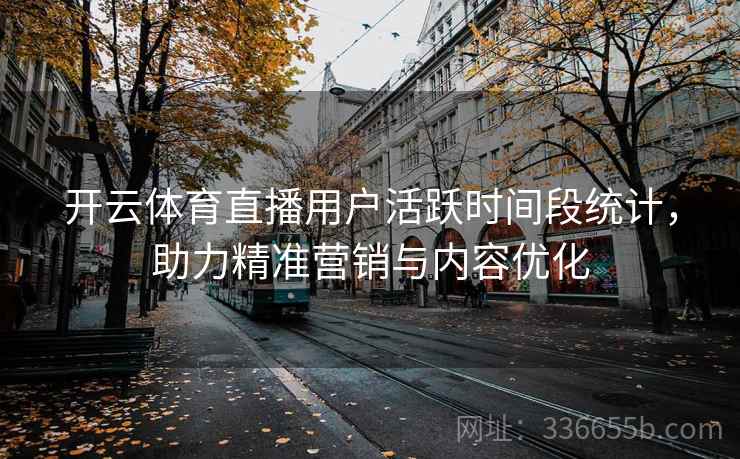 开云体育直播用户活跃时间段统计，助力精准营销与内容优化