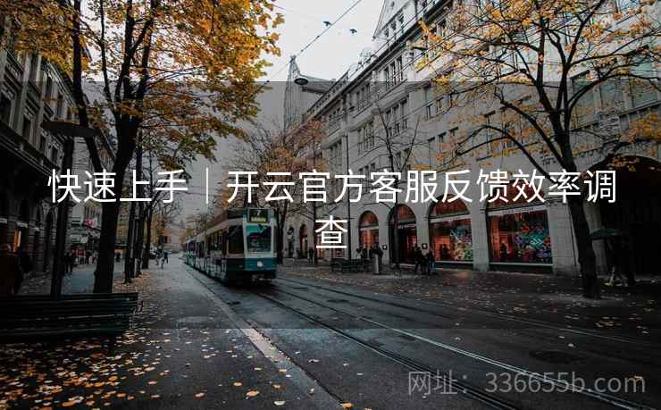 快速上手｜开云官方客服反馈效率调查