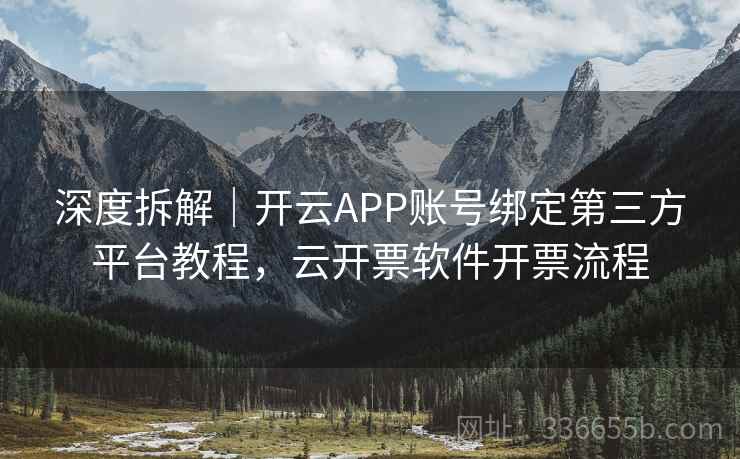 深度拆解|开云APP账号绑定第三方平台教程,云开票软件开票流程