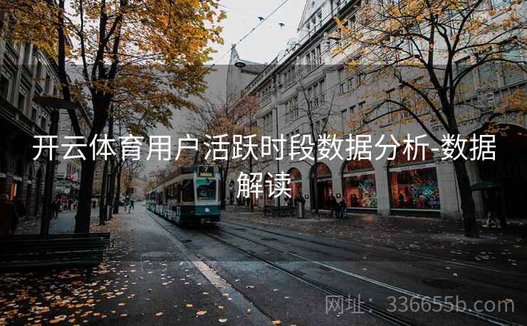 开云体育用户活跃时段数据分析-数据解读