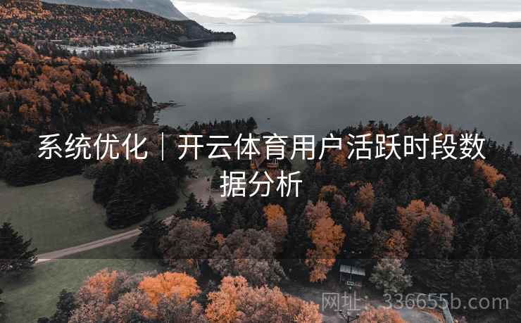 系统优化｜开云体育用户活跃时段数据分析
